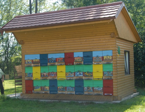 A pioneer of modern apiculture is&nbsp;Slovenian